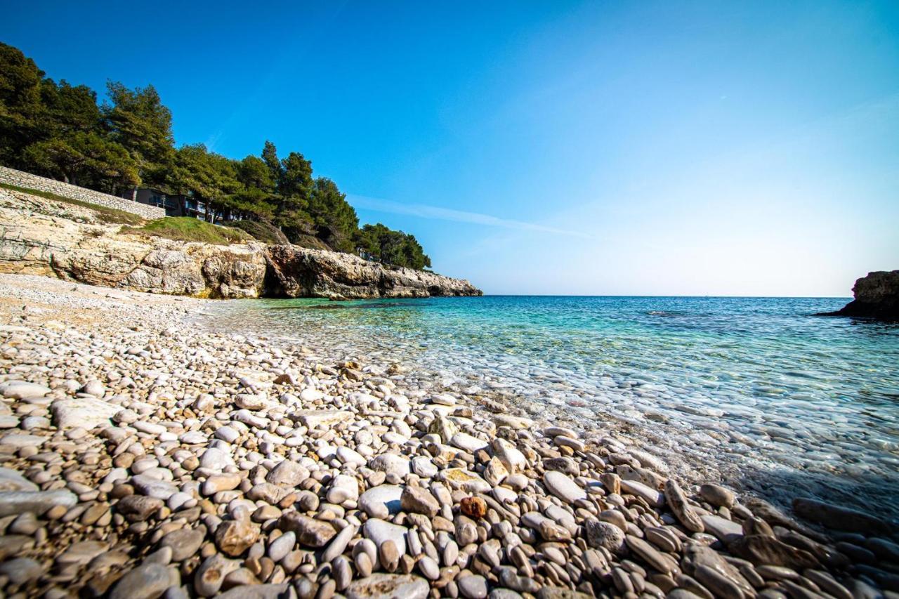 Villa Krasa Sea View Apartmants With Pool Ližnjan Екстериор снимка